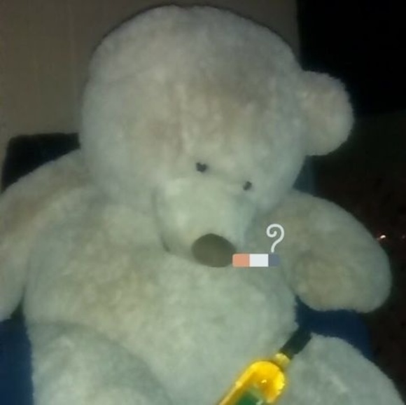 Meet your Posher, Lisa - Picture 1 of 1